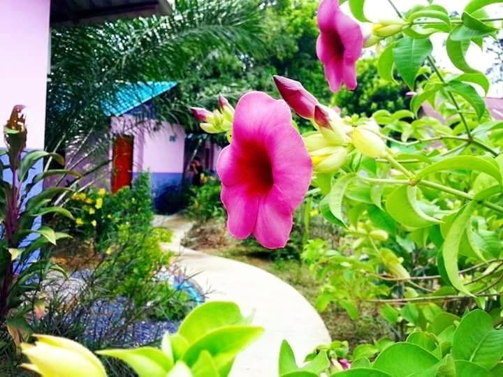 Bangnu River Resort Phang Nga Buitenkant foto
